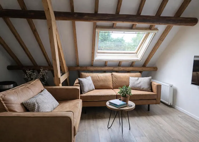 Ballumerhoeve Petit Lodge