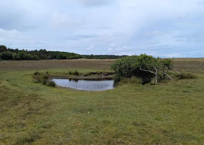 Ballumerhoeve Finn Lodge